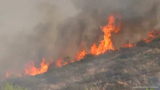 ACONTECER 2nd 08/18 Roberto Tomassoni Forest Fire Awareness Day