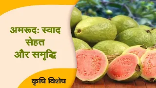 Krishi Vishesh | Guava: Taste, Health and Prosperity | DD Kisan | 23/09/2026