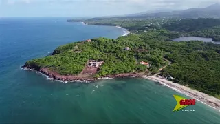 Grenada Calls for AI Access