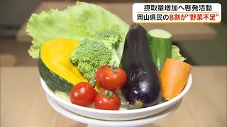 Are You Eating Enough Vegetables? Event at Prefectural Office Aims to Increase Vegetable Intake A...