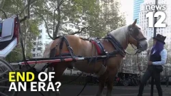 NYC reaches deal to ban horse-drawn carriages by 2028
