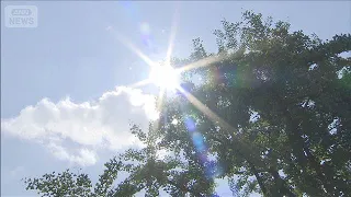 【速報】気温40℃以上 酷暑日 全国で7地点　東京都心でも36.9℃　今年一番の暑さ(2026年7月23日)