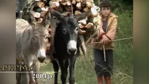 Քարինջ, 22 տարի առաջ