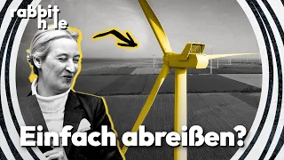 Warum die AfD Windräder zum Feindbild macht | rabbit hole