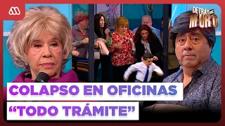 😂 BEHIND THE WALL ❤️ | Aunt Paty Cofré couldn't take it anymore! Meltdown at “Todo Trámite” offices