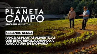 The species transforming a farm in São Paulo | Planeta Campo - ep. 10 part 3