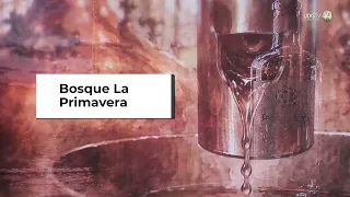 Tequila production drops slightly; exports rise 3.6%