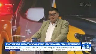 POLÍCIA MILITAR ATENDE DENÚNCIA DE MAUS-TRATOS CONTRA CAVALO EM MORRETES