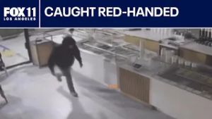 Hollywood break-ins: Suspect arrested with stolen cash register