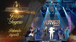 [Concierto de Lujo] – Joropo Tuyero – Palomita Ingrata