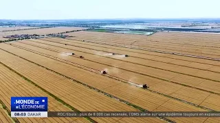 China forecasts record grain harvest in 2026