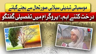 Climate Change Crisis | Hidden Power of Trees Against Flooding | Awam Takk | 31 July 26 | Abbtakk