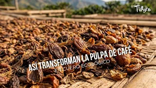 How They Transform Coffee Pulp into Eco-Friendly LEATHER - TvAgro by Juan Gonzalo Angel