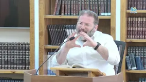 13 מידות הרחמים של מבצע שאגת הארי | פשר השבוע - פרשת כי תשא | הרב חגי לונדין