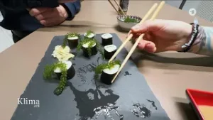 Algen - Nahrungsmittel mit kleinem CO2-Verbrauch | KlimaZeit 19:45 Uhr, 06.02.2026