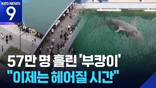 Shark Bukangi set to return to sea