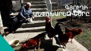 Հավերս թուխս եկան, թոշակս ավելացավ, գործերս լավացավ, որ էլ դու սուս.  գյուղի թեժ գարունը