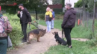 MASTER TV ŁUKÓW -