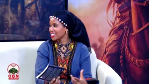 Гость Нура | Книга Каайи Цивилизации