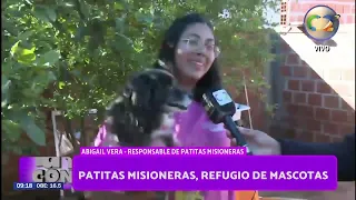 Missionary Paws Pet Shelter - La Tele con Vos 24-09-2026