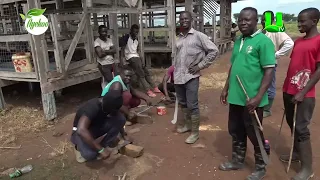 I FARM TO IMPACT MY CHURCH MEMBERS AND GHANAIAN SOCIETY - 2025 NATIONAL BEST FARMER