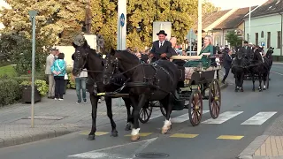 Már javában épül a Hagymafesztivál helyszíne