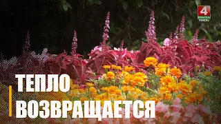 Лето еще не попрощалось. Первая половина недели порадует теплой и комфортной погодой