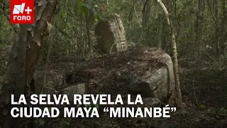 Ancient Maya city discovered in the Calakmul Biosphere Reserve in Campeche