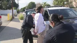 Video: Arrest made in stabbing of girl, grandpa in Sunland