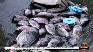 More Than Fishing: Discovering the Potential of Oba-Ama and Finima Waterfronts