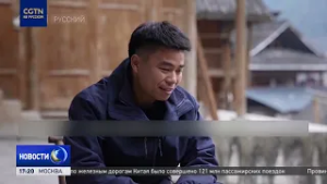 Жителям китайской провинции Гуйчжоу помог преодолеть бедность растёртый чай "матча"