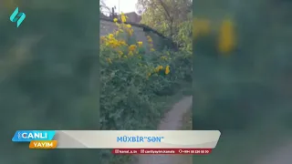 Şəkidə cəngəlliyi xatırladan yol... | Müxbir "Sən"