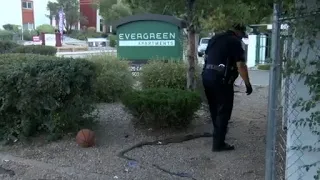 Santa Fe Police and city crack down on homeless encampments and crime