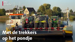 Utrechtse boeren naar protest in Den Bosch | RTV Utrecht
