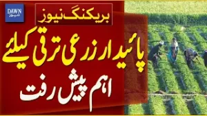 Significant Progress For Sustainable Agricultural Development | Breaking News | Dawn News