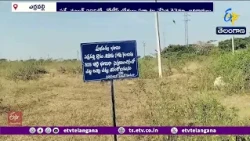 ఎర్రవల్లిలో ప్రభుత్వ భూముల పరిరక్షణకు రెవెన్యూ అధికారుల చర్యలు