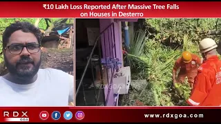 ₹10 Lakh Loss Reported After Massive Tree Falls on Houses in Desterro