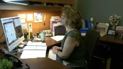 Who Works for Burlington: Faydeen Sateriale, Administrative Assistant  for BPS IT Tech Dept.