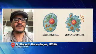 Dr. Roberto Bravo-Sagua - Zombie cells | Meeting point 2026
