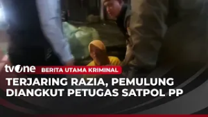 Razia PPKS di Tanah Abang, Wanita Teriak Histeris Minta Tolong | Berita Utama Kriminal