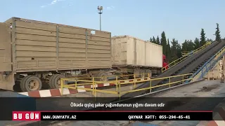 Ölkədə qışlıq şəkər çuğundurunun yığımı davam edir