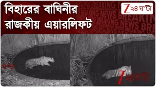 Bihar Tiger | বক্সায় 'টাইগার জিন্দা হ্যায়'! বাংলায় এল বিহারের বাঘিনী | Zee 24 Ghanta