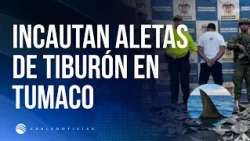 Over 4,000 shark fins worth 600 million pesos seized in Tumaco, Nariño