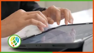 Celebra en todo el mundo el Día de la Internet Segura