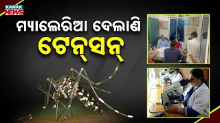 ମ୍ୟାଲେରିଆ ଦେଲାଣି ଟେନ୍‌ସନ୍‌ | Big Malaria Alert in Odisha: Rising Cases Trigger Fresh Health Tension