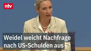 On budget policy, Weidel states that Germany is "de facto bankrupt" | ntv