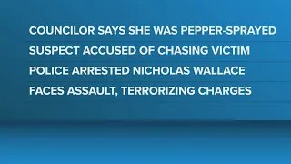 Rockland city councilor shares details of random assault
