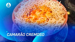 Camarão Cremoso: a receita fácil e irresistível que vai conquistar você | Sabor de Vida