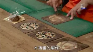 贏在地球村 Win The World—蜜蜂故事館十年有成 田間放蜂回饋在地