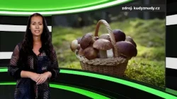 Putování v regionech 13. 10. 2026